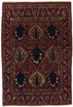 Bakhtiari - erittäin vanhoja