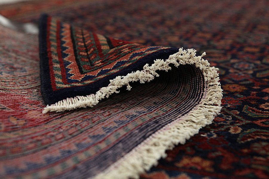 Borchalou - Hamadan Persialainen matto 336x160 - Kuva 4