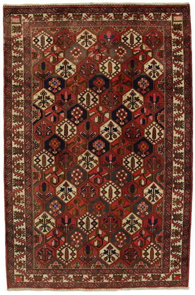 Bakhtiari Persialainen matto 307x201