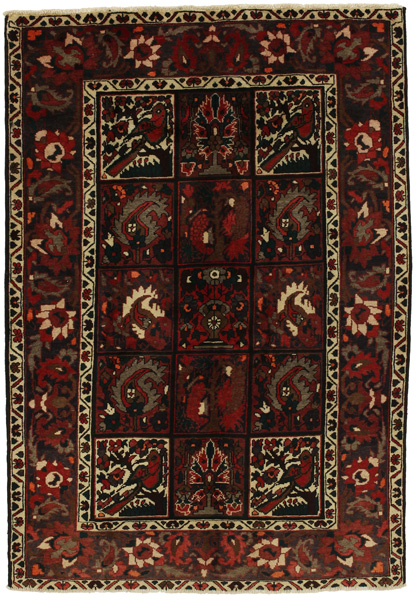 Bakhtiari Persialainen matto 222x152