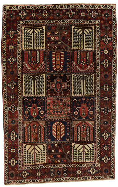 Bakhtiari Persialainen matto 251x160
