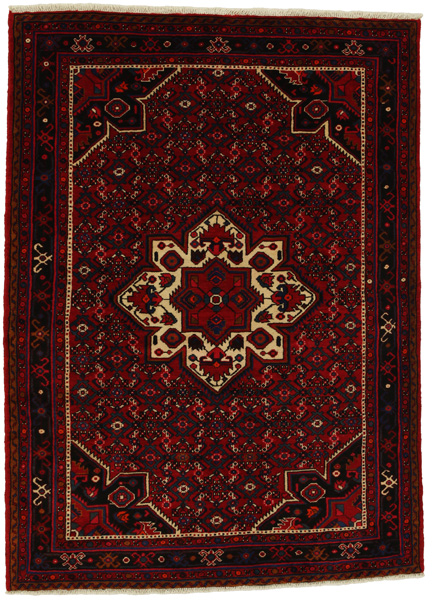 Borchalou - Hamadan Persialainen matto 212x156
