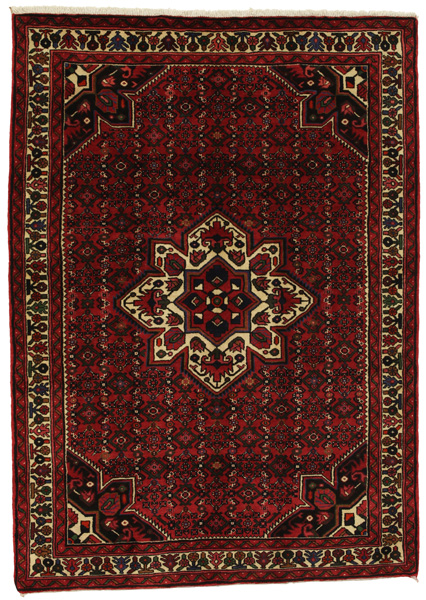 Borchalou - Hamadan Persialainen matto 219x156