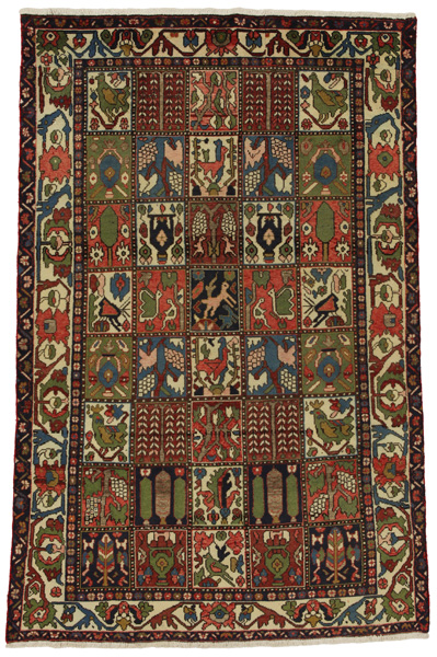 Bakhtiari - Garden Persialainen matto 240x155