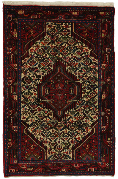 Enjelas - Hamadan Persialainen matto 167x106