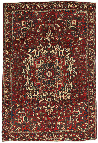 Bakhtiari Persialainen matto 316x214