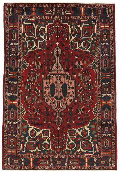 Bakhtiari Persialainen matto 304x208