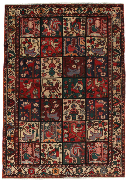 Bakhtiari Persialainen matto 212x147