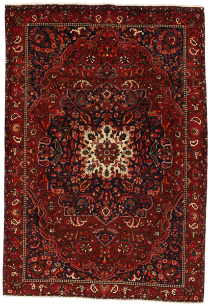 Bakhtiari Persialainen matto 304x207