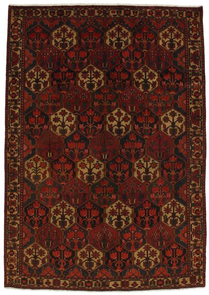 Bakhtiari Persialainen matto 282x197