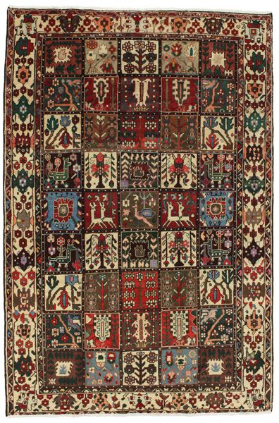 Bakhtiari Persialainen matto 244x160
