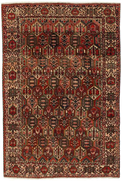 Bakhtiari - Garden Persialainen matto 305x205