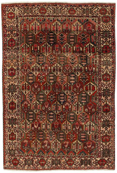 Bakhtiari - Garden Persialainen matto 305x205