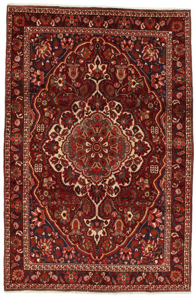 Bakhtiari Persialainen matto 320x208
