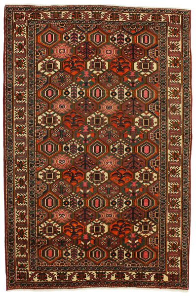 Bakhtiari Persialainen matto 305x202