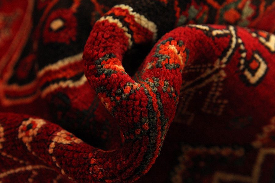 Qashqai - Shiraz Persialainen matto 243x154 - Kuva 6