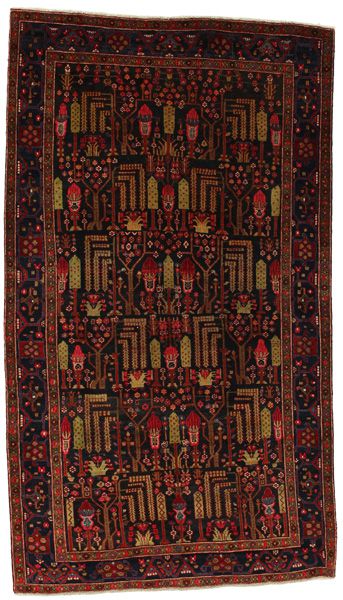 Koliai - Kurdi Persialainen matto 266x153