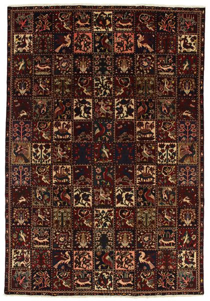 Bakhtiari Persialainen matto 310x215