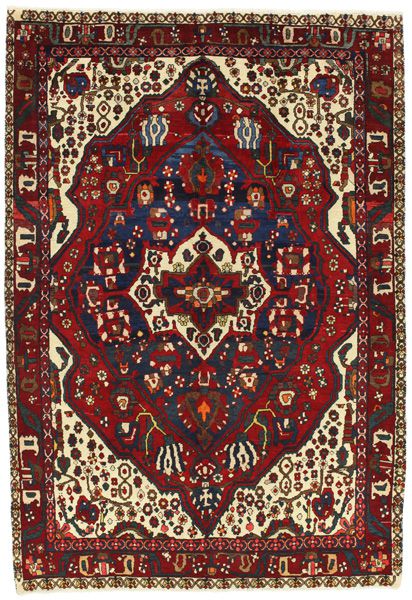 Bakhtiari - Bakhtiari Persialainen matto 305x205