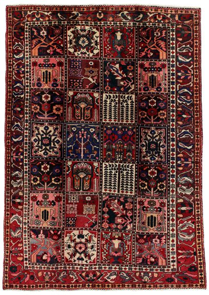 Bakhtiari Persialainen matto 223x157