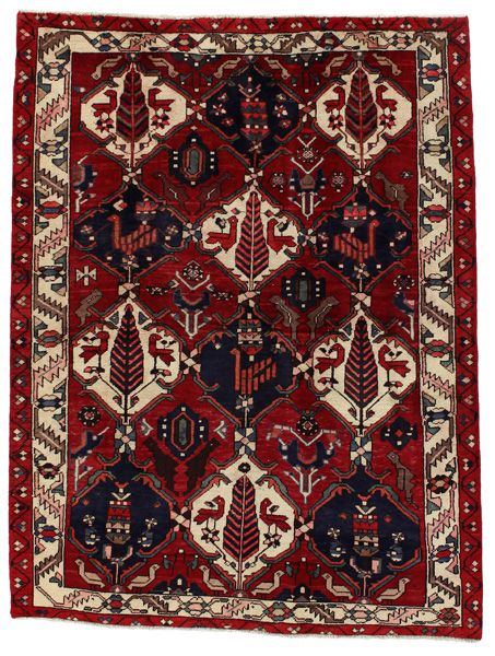 Bakhtiari Persialainen matto 205x156