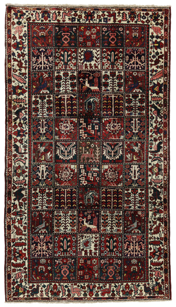 Bakhtiari Persialainen matto 295x168