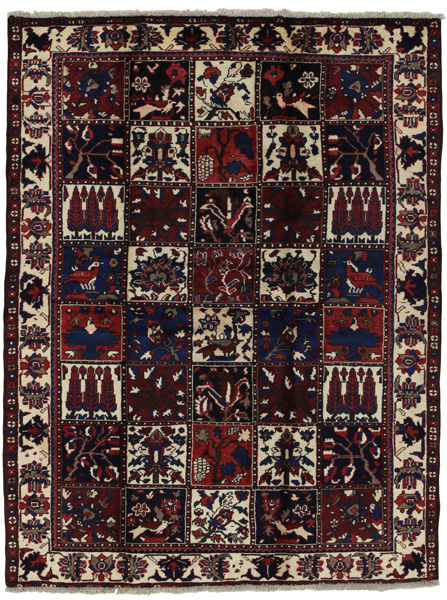 Bakhtiari Persialainen matto 204x155