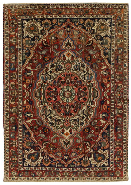 Bakhtiari Persialainen matto 304x216
