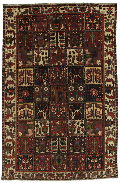 Bakhtiari Persialainen matto 235x156