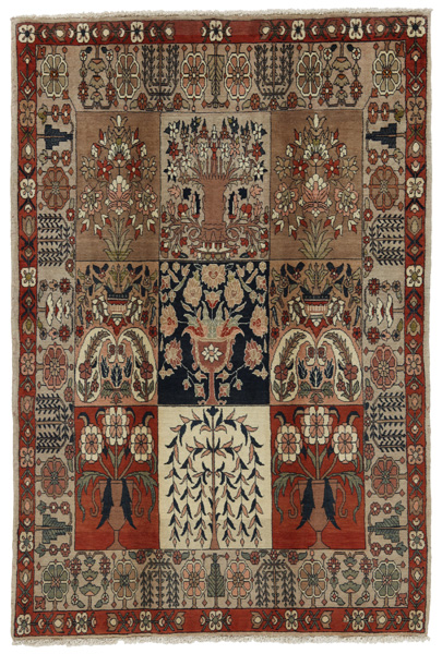 Bakhtiari Persialainen matto 256x170
