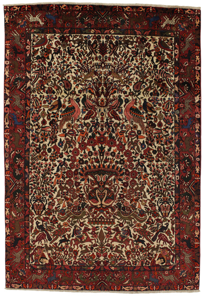 Bijar - Kurdi Persialainen matto 304x210