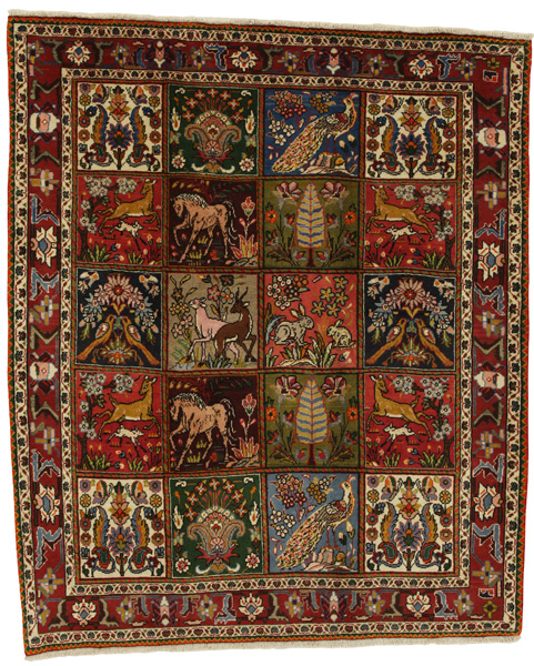 Bakhtiari Persialainen matto 197x164