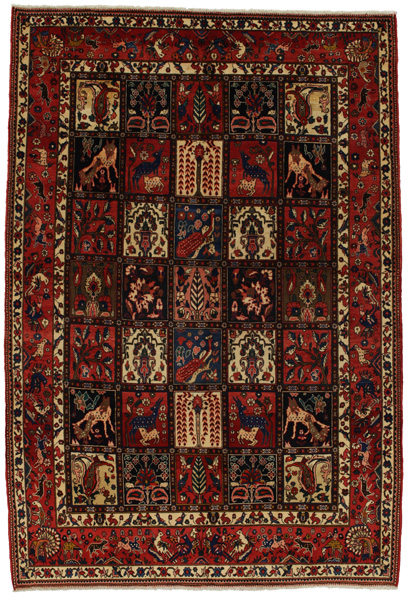 Bakhtiari - Garden Persialainen matto 318x215