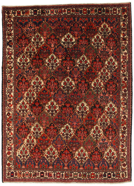 Bakhtiari - Garden Persialainen matto 289x210