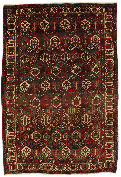 Bakhtiari Persialainen matto 312x212