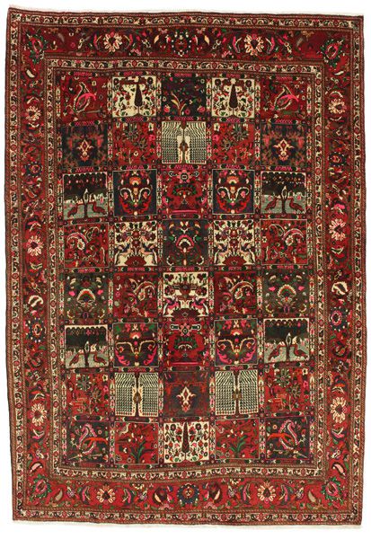 Bakhtiari Persialainen matto 315x215