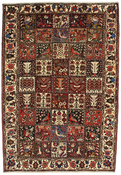 Bakhtiari Persialainen matto 245x168