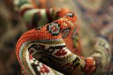 Kerman - Patina Persialainen matto 352x250 - Kuva 7