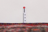 Senneh - Kurdi Persialainen matto 323x205 - Kuva 8