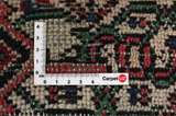 Bijar - Kurdi Persialainen matto 510x355 - Kuva 4