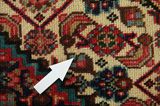 Senneh - Kurdi Persialainen matto 300x196 - Kuva 17
