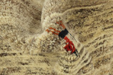 Gabbeh - Qashqai Persialainen matto 156x99 - Kuva 7