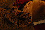 Kashkooli - Gabbeh Persialainen matto 150x102 - Kuva 7