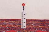 Yomut - Bokhara Persialainen matto 127x121 - Kuva 8