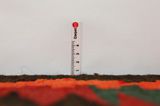 Kelim - Kurdi 395x136 - Kuva 8