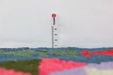 Kelim - Qashqai 300x160 - Kuva 8