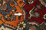 Bakhtiari - Garden Persialainen matto 314x207 - Kuva 18