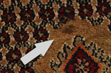 Songhor - Koliai Persialainen matto 308x188 - Kuva 18