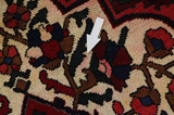 Bakhtiari Persialainen matto 306x205 - Kuva 17