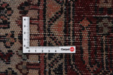 Enjelas - Hamadan Persialainen matto 272x105 - Kuva 4